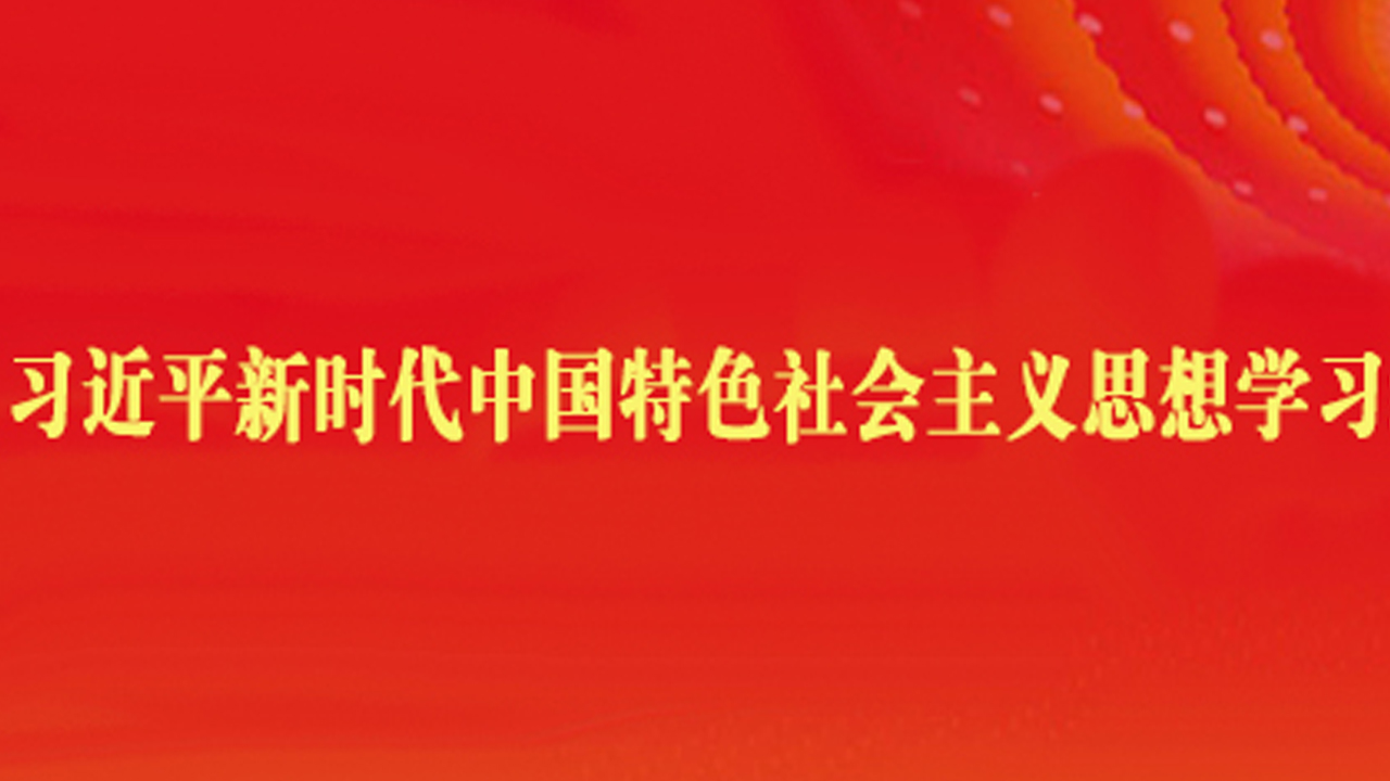 萬(wàn)山磅礴有主峰（習(xí)近平新時(shí)代中國(guó)特色社會(huì)主義思想學(xué)習(xí)問(wèn)答）